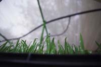 Gallery Thumb 12